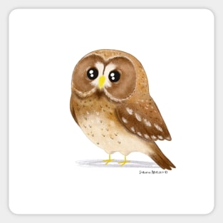 Tawny Owl Sticker